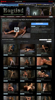 Hogtied Porn Review